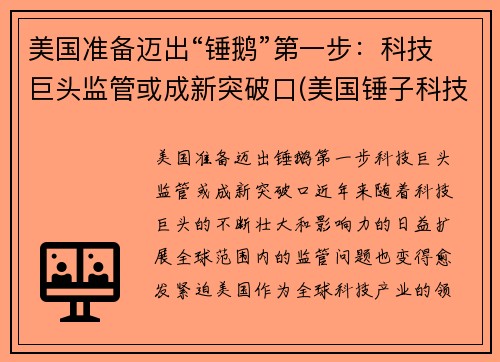 美国准备迈出“锤鹅”第一步：科技巨头监管或成新突破口(美国锤子科技有限公司)