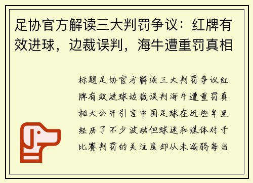 足协官方解读三大判罚争议：红牌有效进球，边裁误判，海牛遭重罚真相大公开