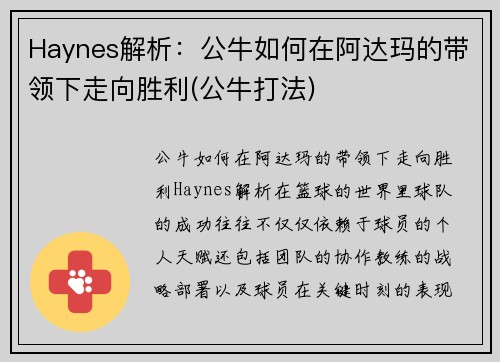 Haynes解析：公牛如何在阿达玛的带领下走向胜利(公牛打法)