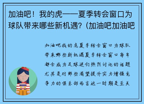 加油吧！我的虎——夏季转会窗口为球队带来哪些新机遇？(加油吧加油吧我们加油吧)