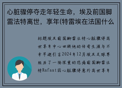 心脏骤停夺走年轻生命，埃及前国脚雷法特离世，享年(特雷埃在法国什么位置)
