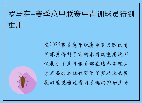 罗马在-赛季意甲联赛中青训球员得到重用
