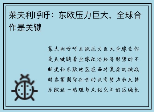 莱夫利呼吁：东欧压力巨大，全球合作是关键